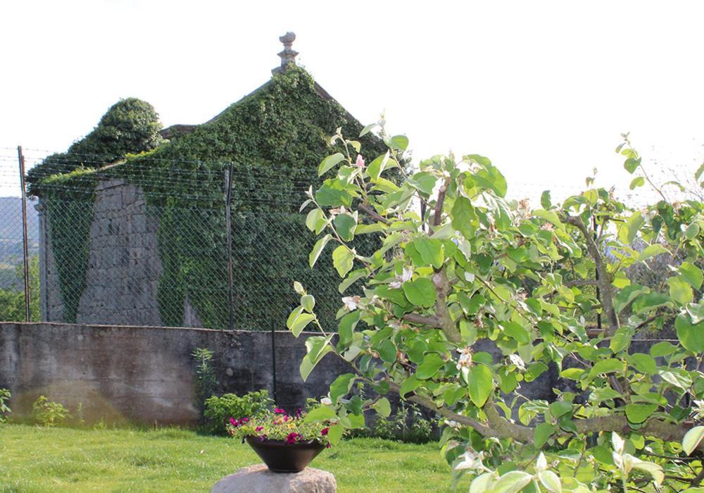 Casa D'Amaresヴィラ エクステリア 写真